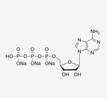 ATP MRNA ভ্যাকসিন কাঁচামাল অ্যাডেনোসিন-5'-ট্রাইফসফেট CAS 987-65-5