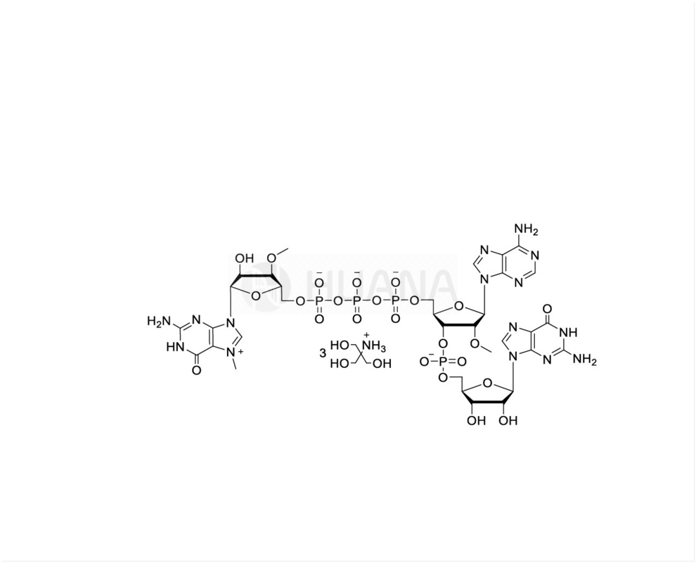 CAP GAG ((3'OMe) m7 ((3'OMeG) ((5') পিপিপি ((5') ((2'OMeA) pG 100mM Tris Solution