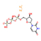DUTP Deoxynucleotides 2'-Deoxyuridine-5'-ট্রাইফসফেট সোডিয়াম সল্ট সলিউশন CAS 102814-08-4